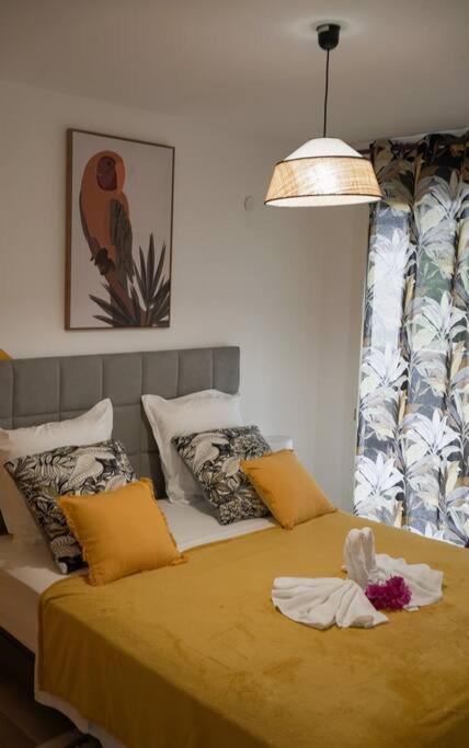 Le Marie-Agnes Appartement Neuf De Standing 法兰西堡 外观 照片